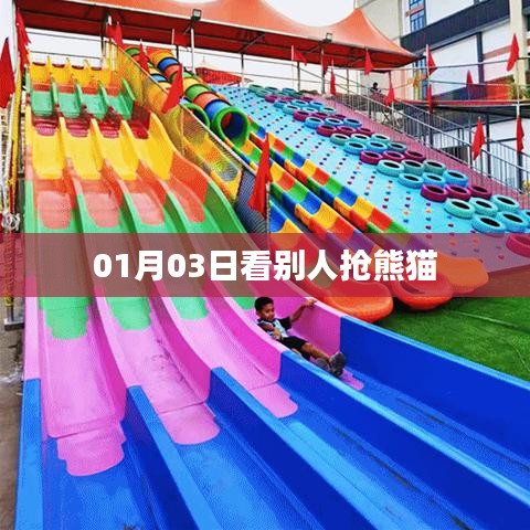 熊貓搶先看，元旦新景象