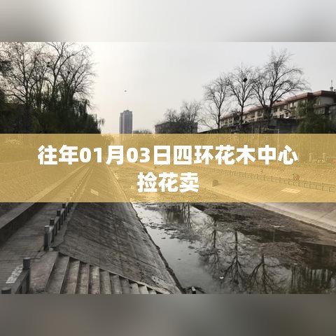 往年元旦后四環(huán)花木中心賞花購(gòu)物記