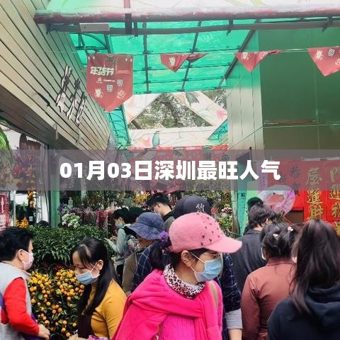 深圳人氣爆棚，最新人氣榜單揭曉