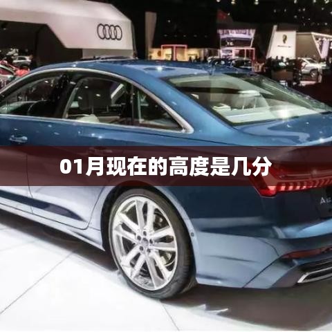 關于現(xiàn)在的高度是幾月份的高度的查詢