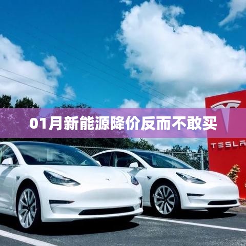新能源降價(jià)引發(fā)觀望心態(tài)，消費(fèi)者猶豫待購