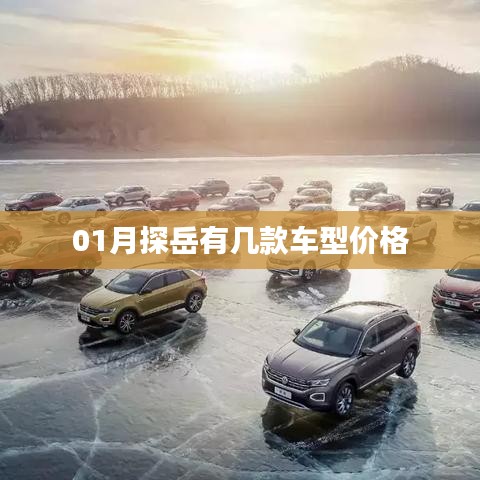 探岳車型價格表（最新）