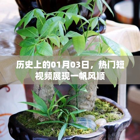 熱門短視頻展現(xiàn)，歷史一月三日一帆風(fēng)順時(shí)刻
