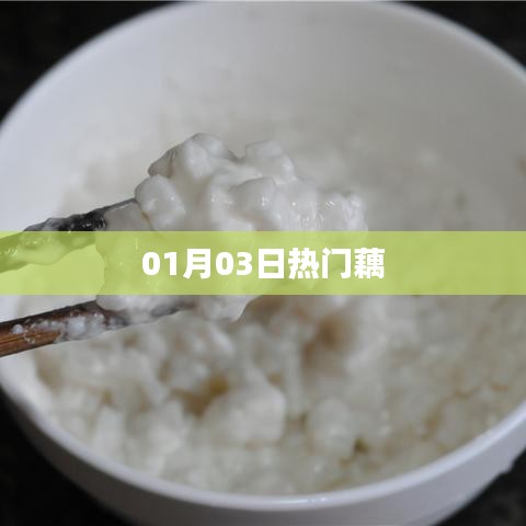 藕的熱門資訊，最新動態(tài)一網(wǎng)打盡（01月03日）