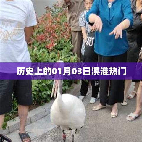 濱淮熱門事件回顧，歷史上的1月3日