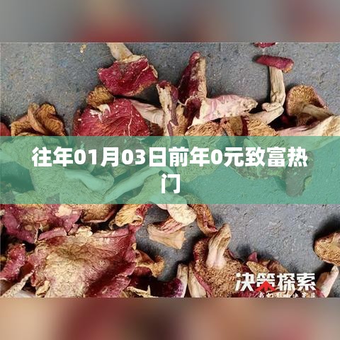 「歷年致富熱門回顧，年前零元起步熱門商機」