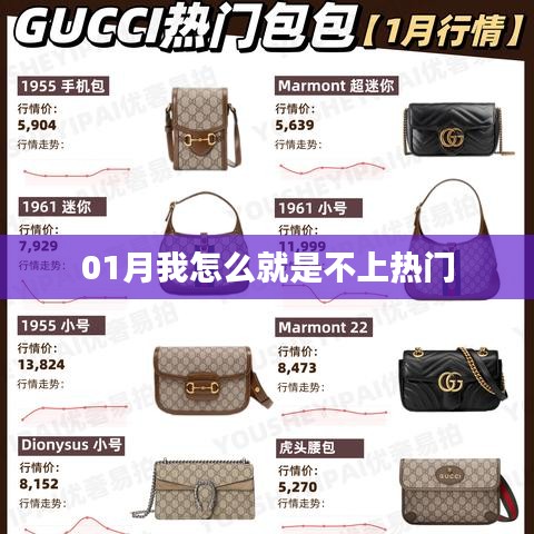 如何提升關(guān)注度，一月熱門突破策略