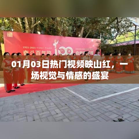 映山紅視覺盛宴，情感交織的熱門視頻