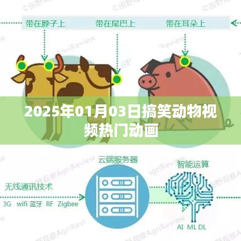 2025年搞笑動物視頻盛宴，熱門動畫歡樂來襲