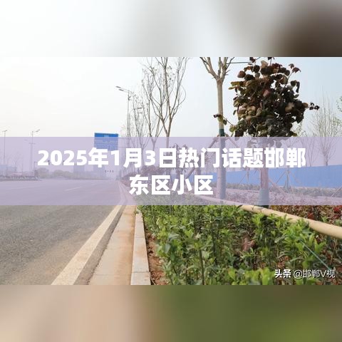 邯鄲東區(qū)小區(qū)，聚焦2025年1月3日熱議話題