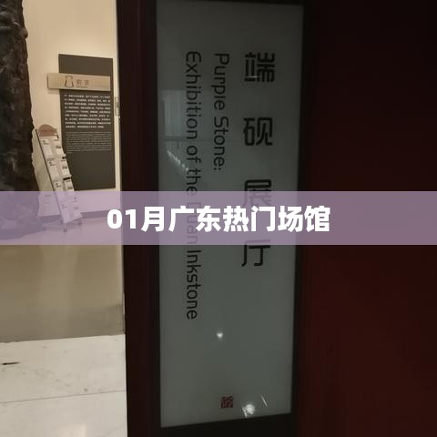廣東一月熱門場館盤點(diǎn)
