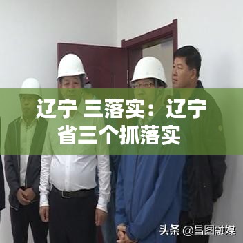 遼寧 三落實(shí)：遼寧省三個(gè)抓落實(shí) 