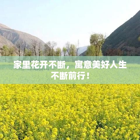 家里花開不斷，寓意美好人生不斷前行！