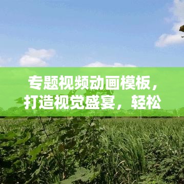 專題視頻動(dòng)畫模板，打造視覺盛宴，輕松吸引眼球！