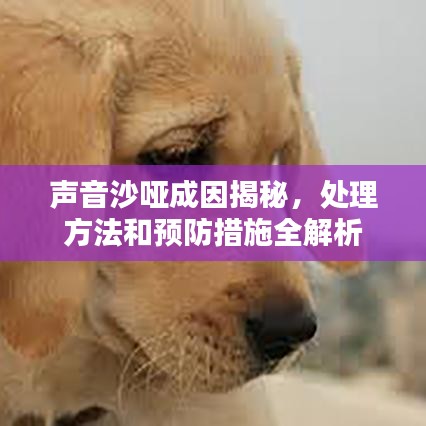 聲音沙啞成因揭秘，處理方法和預防措施全解析