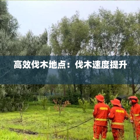 高效伐木地點(diǎn)：伐木速度提升 