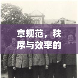 章規(guī)范，秩序與效率的保障基石