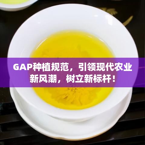 GAP種植規(guī)范，引領(lǐng)現(xiàn)代農(nóng)業(yè)新風(fēng)潮，樹立新標(biāo)桿！