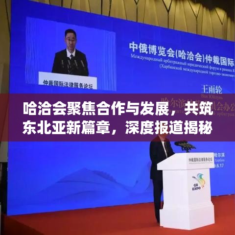 哈洽會聚焦合作與發(fā)展，共筑東北亞新篇章，深度報道揭秘盛會亮點