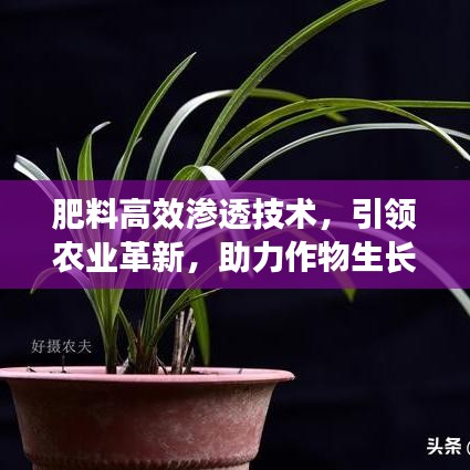 肥料高效滲透技術(shù)，引領(lǐng)農(nóng)業(yè)革新，助力作物生長(zhǎng)新動(dòng)力