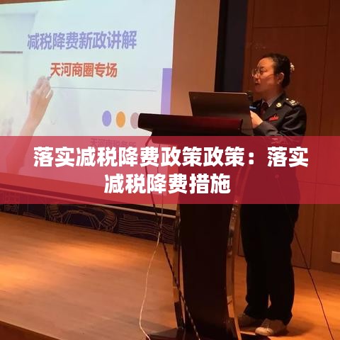 落實減稅降費(fèi)政策政策：落實減稅降費(fèi)措施 