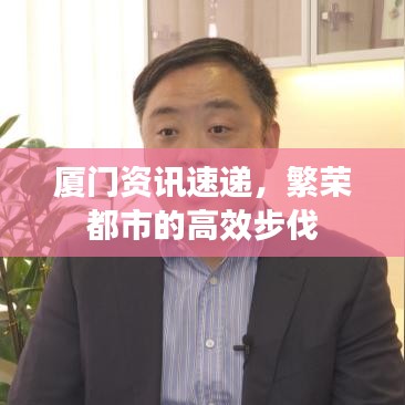 廈門資訊速遞，繁榮都市的高效步伐