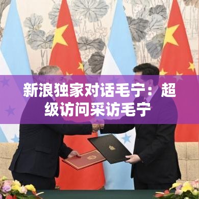 新浪獨(dú)家對話毛寧：超級訪問采訪毛寧 