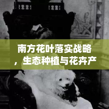 南方花葉落實戰(zhàn)略，生態(tài)種植與花卉產(chǎn)業(yè)繁榮之路