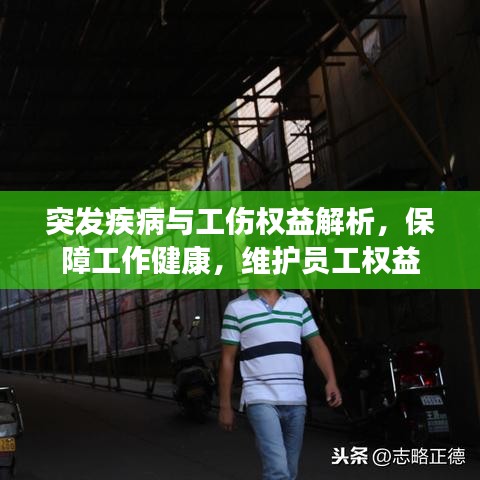 突發(fā)疾病與工傷權(quán)益解析，保障工作健康，維護(hù)員工權(quán)益