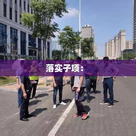 落實(shí)子項(xiàng)： 