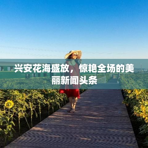 興安花海盛放，驚艷全場的美麗新聞?lì)^條