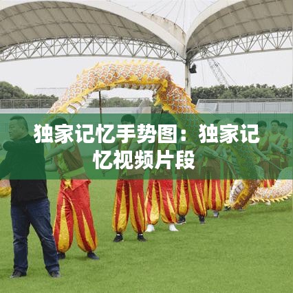獨(dú)家記憶手勢(shì)圖：獨(dú)家記憶視頻片段 