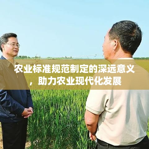 農(nóng)業(yè)標(biāo)準(zhǔn)規(guī)范制定的深遠(yuǎn)意義，助力農(nóng)業(yè)現(xiàn)代化發(fā)展
