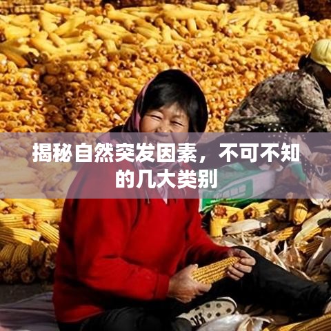 揭秘自然突發(fā)因素，不可不知的幾大類別