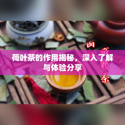 荷葉茶的作用揭秘，深入了解與體驗(yàn)分享