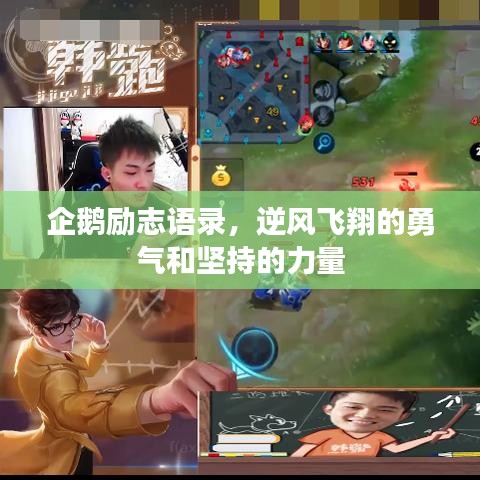 企鵝勵志語錄，逆風(fēng)飛翔的勇氣和堅持的力量