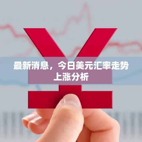 最新消息，今日美元匯率走勢上漲分析