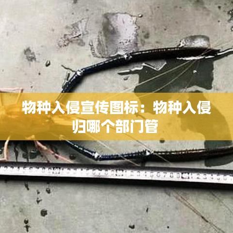 物種入侵宣傳圖標(biāo)：物種入侵歸哪個部門管 