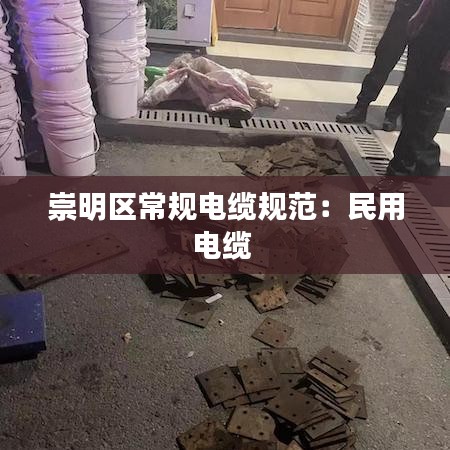 崇明區(qū)常規(guī)電纜規(guī)范:民用電纜