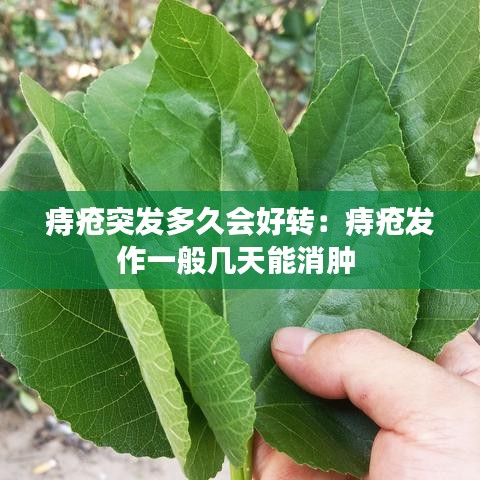 痔瘡突發(fā)多久會好轉：痔瘡發(fā)作一般幾天能消腫 