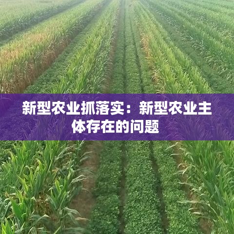 新型農業(yè)抓落實：新型農業(yè)主體存在的問題 