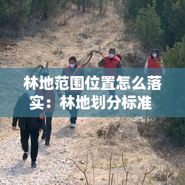 林地范圍位置怎么落實：林地劃分標(biāo)準(zhǔn) 