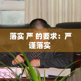 落實(shí) 嚴(yán) 的要求：嚴(yán)謹(jǐn)落實(shí) 