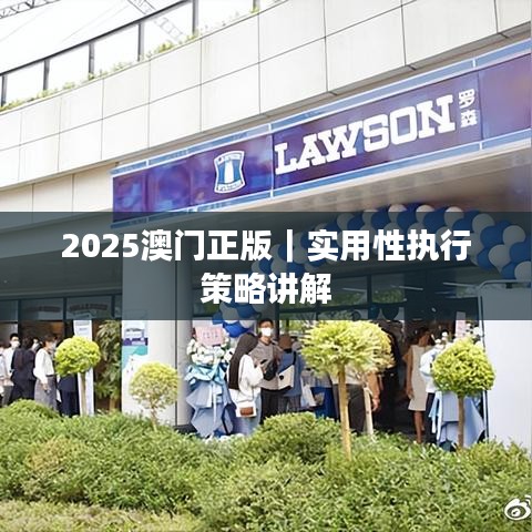 2025澳門正版｜實用性執(zhí)行策略講解