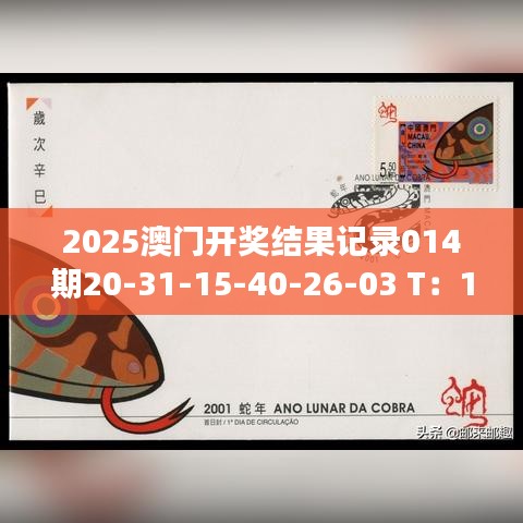 2025澳門(mén)開(kāi)獎(jiǎng)結(jié)果記錄014期20-31-15-40-26-03 T：15｜廣泛的關(guān)注解釋落實(shí)