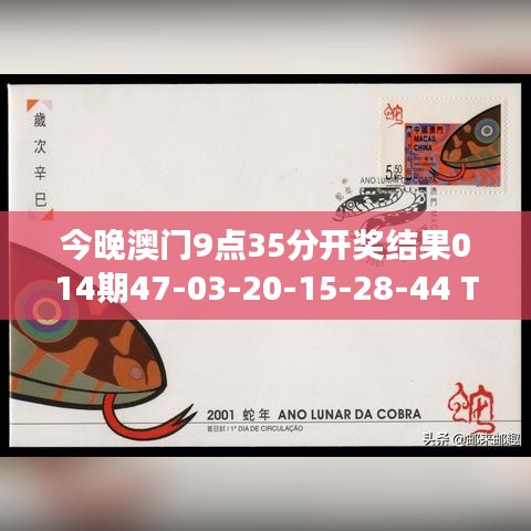 今晚澳門9點35分開獎結(jié)果014期47-03-20-15-28-44 T：32｜全面解答解釋落實