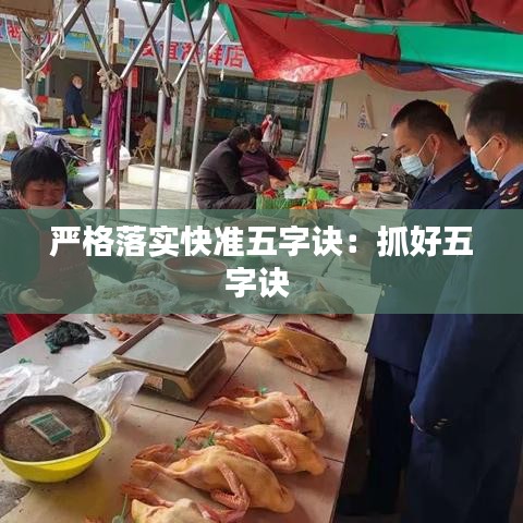 嚴(yán)格落實(shí)快準(zhǔn)五字訣：抓好五字訣 