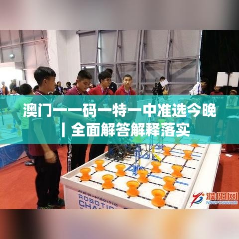 澳門一一碼一特一中準(zhǔn)選今晚｜全面解答解釋落實