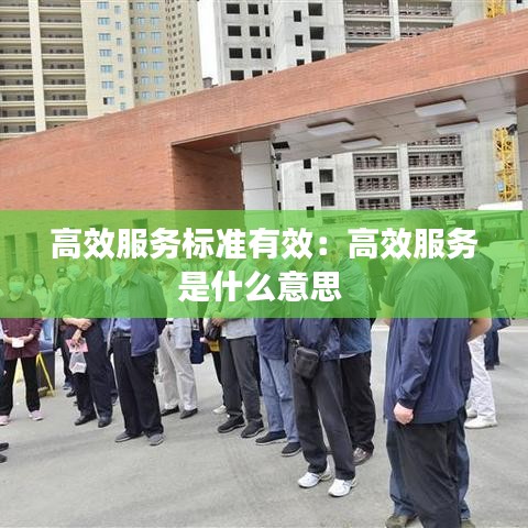 高效服務(wù)標準有效：高效服務(wù)是什么意思 