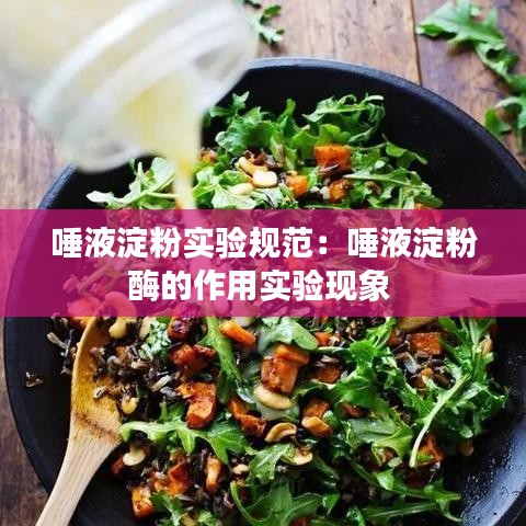 唾液淀粉實驗規(guī)范：唾液淀粉酶的作用實驗現象 